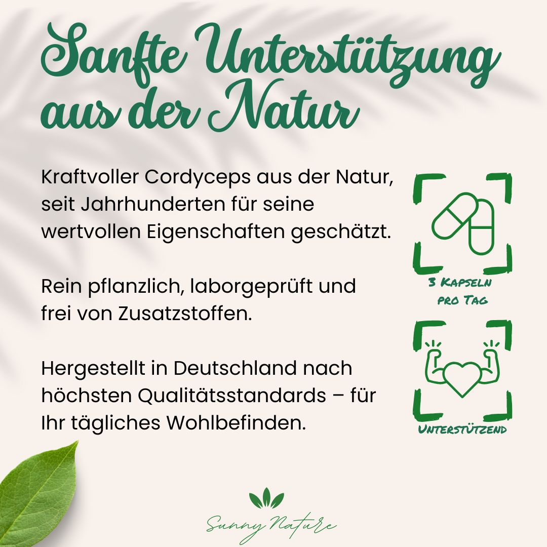 Cordyceps Kapseln (Cordyceps sinesis) – weiteres Bild