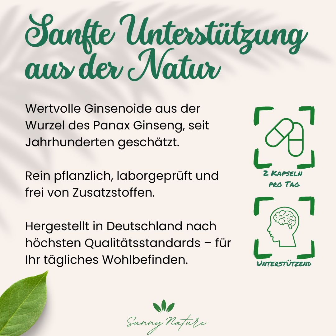 Koreanischer Roter Ginseng Kapseln (Panax Ginseng C.A. Meyer) – weiteres Bild