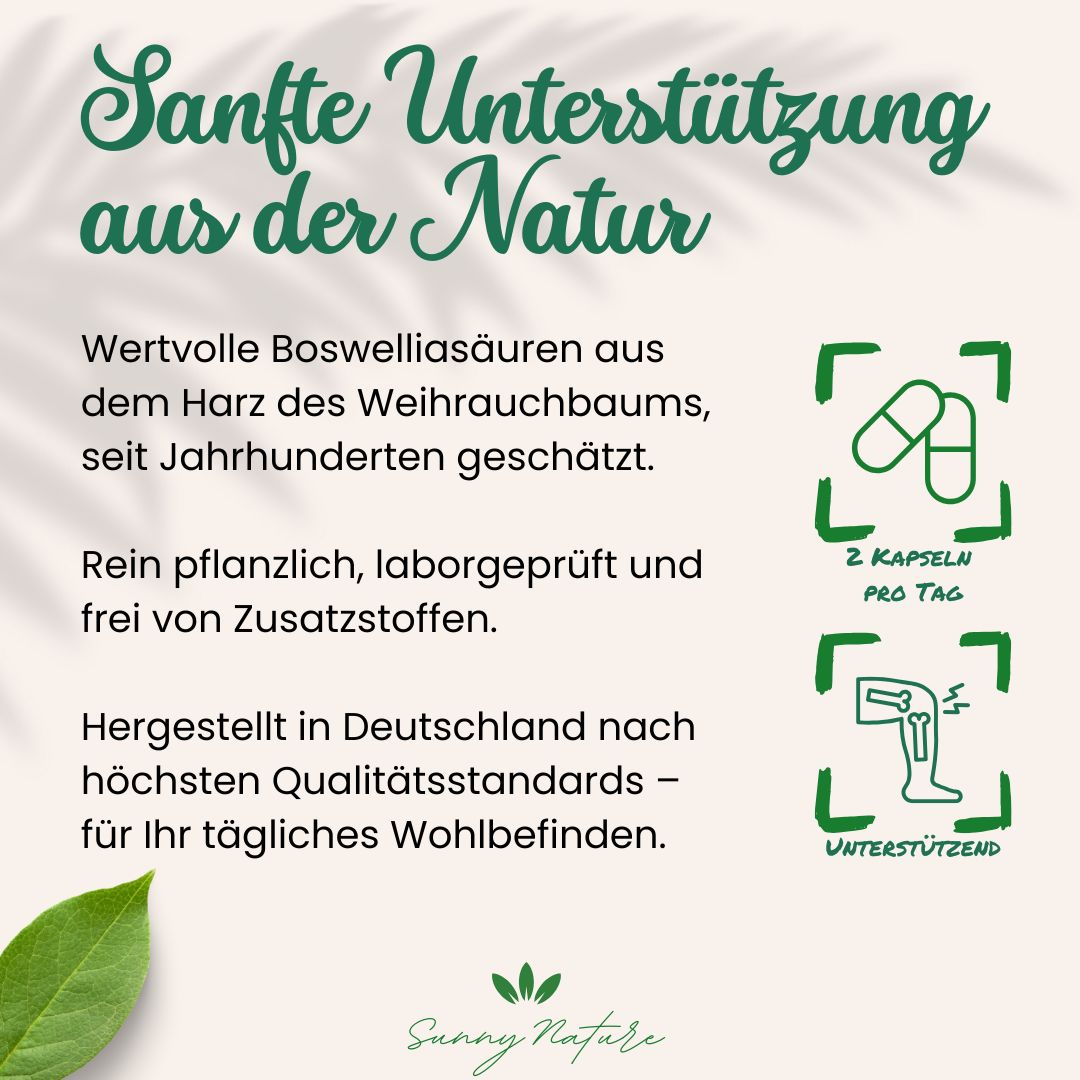 Weihrauch Kapseln (Boswellia serrata) – weiteres Bild
